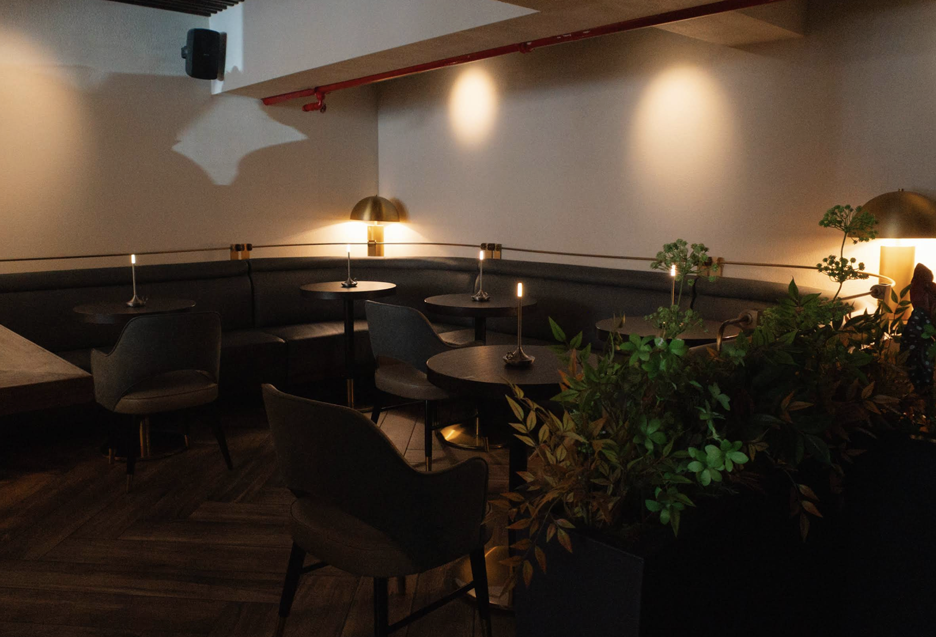 The lounge